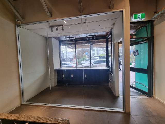 9a Courtenay Place Te Aro_3
