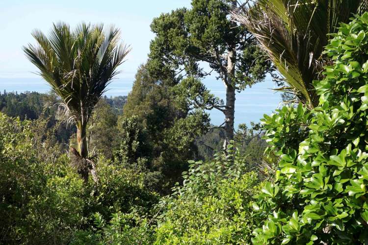 570 South Titirangi Road Titirangi_6