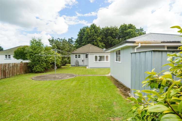 9 Bull Street Bulls_8