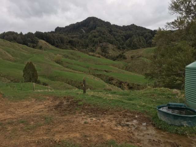 3434 State Highway 4 Aria_3