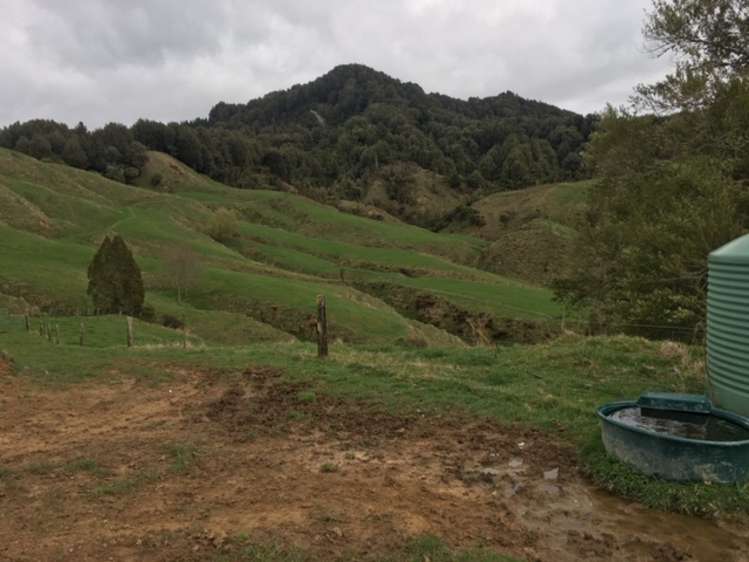 3434 State Highway 4 Aria_3