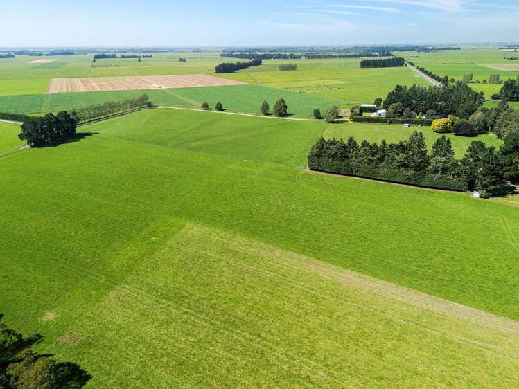 1710 Ealing Montalto Road Ashburton_26