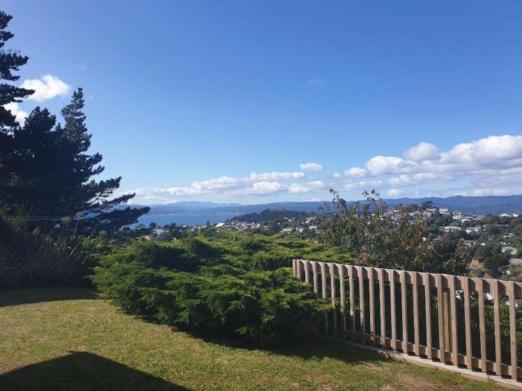 22 Virginia Grove Brooklyn_8