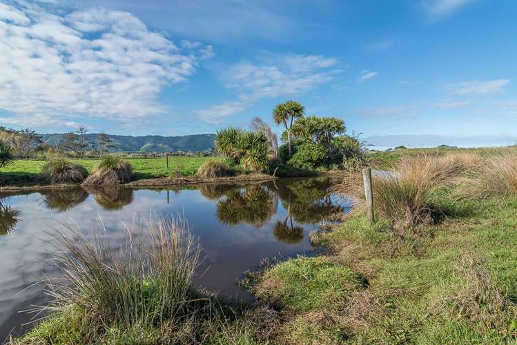 37 Sandown Road Te Horo Beach_25