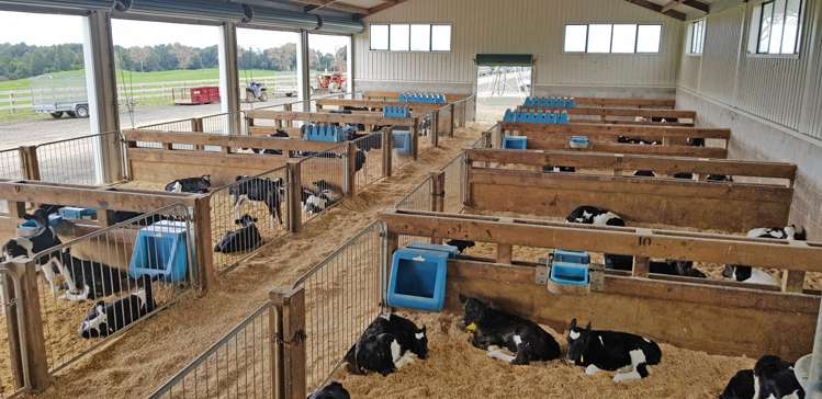 118 Huirimu Road Wharepapa South_12