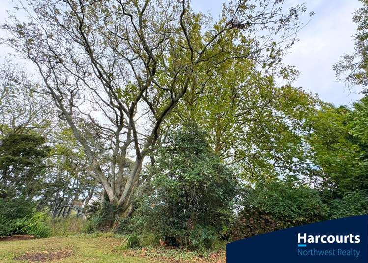 86 Tawa Road Kumeu_31