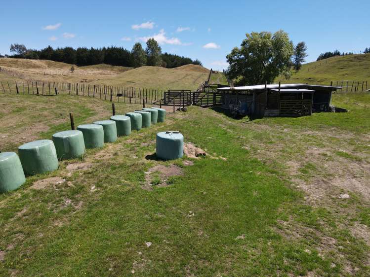 897 State Highway 1 Oruanui_17