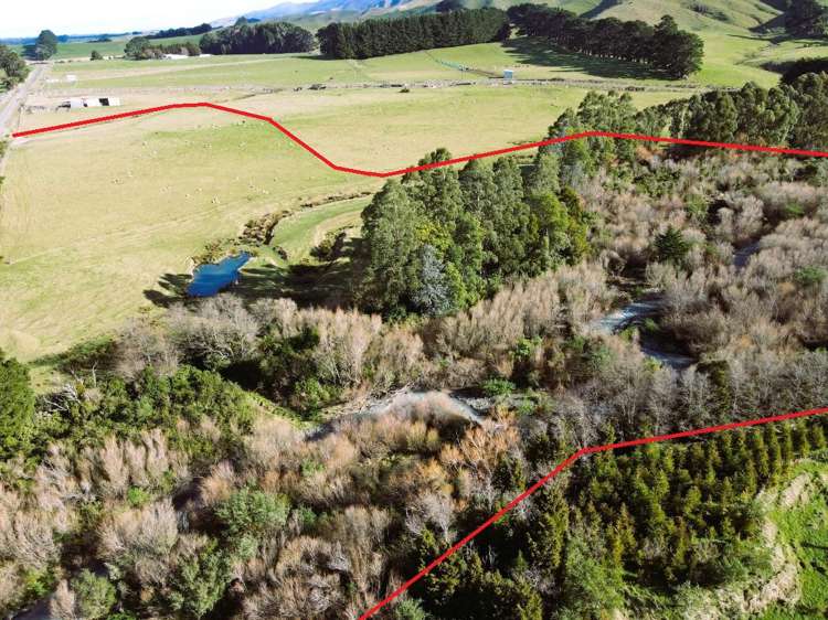 Lot 2/9 Tamaki East Road Dannevirke_0