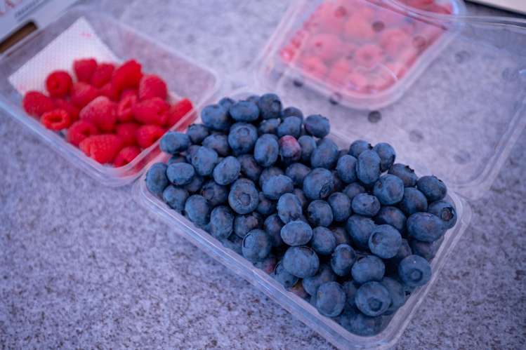 160 Tadmor Valley Road Tapawera_3