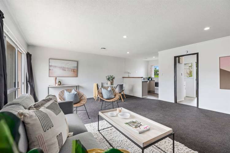 411b Ngatai Road Bellevue_3
