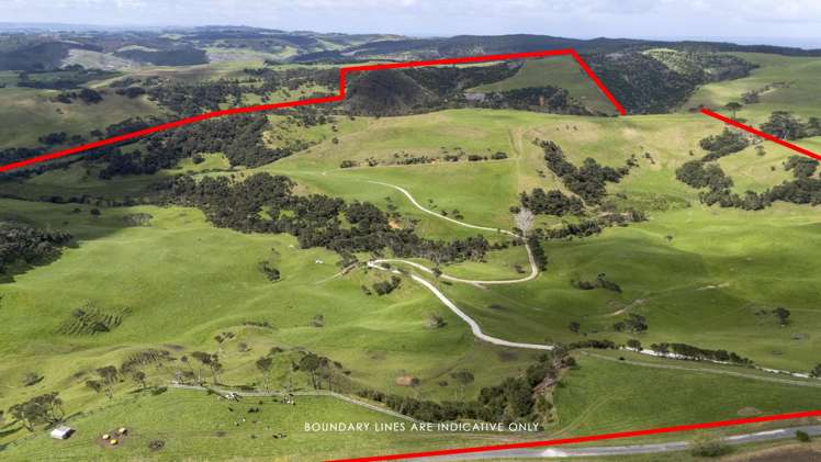 147 Fuller Road, South Head Helensville_2