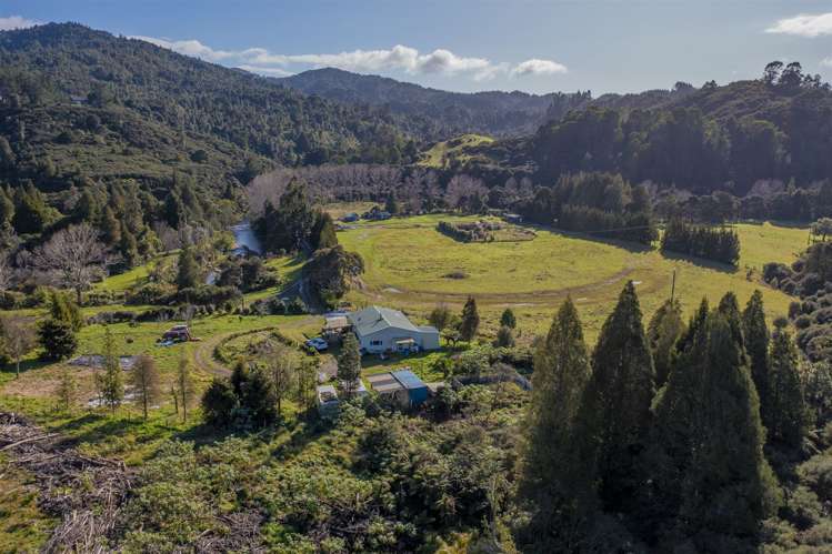 1878 The 309 Road Kaimarama_14