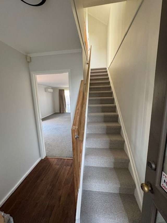 44 Pohutukawa Place Ellerslie_3