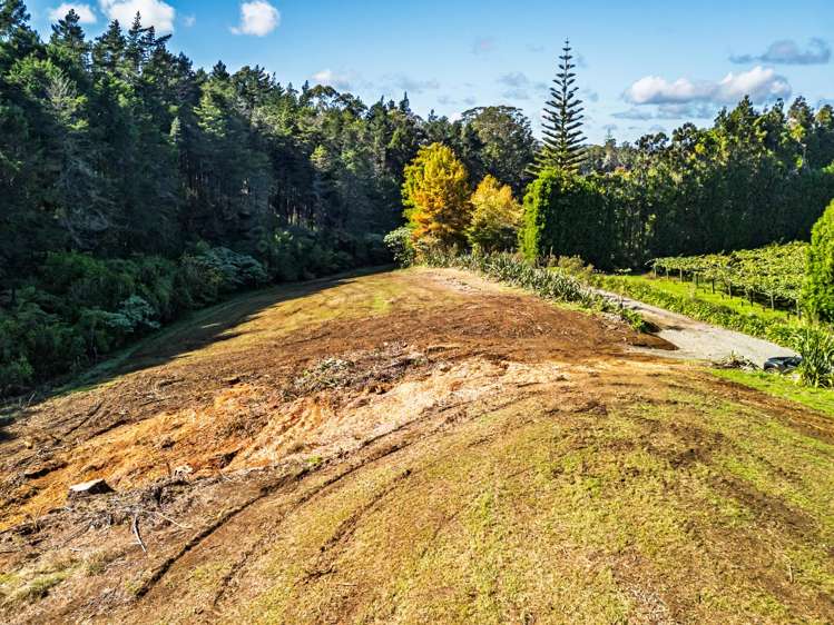 Lot 3/26 Tanekaha Lane_3