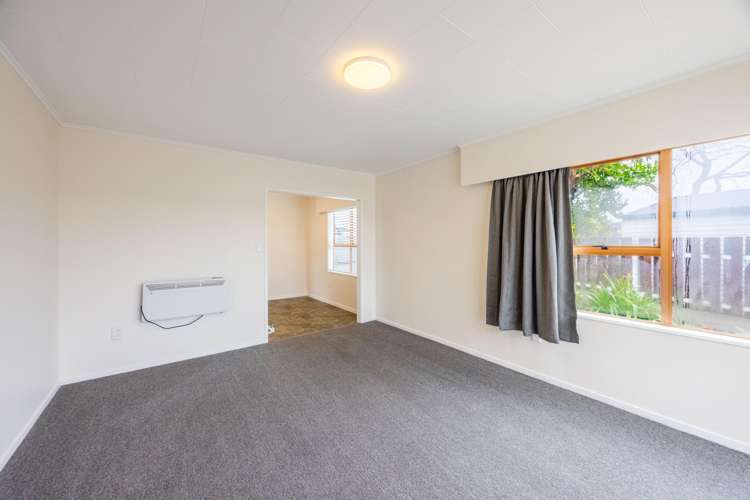 2/17 Ranfurly Street Tamatea_12