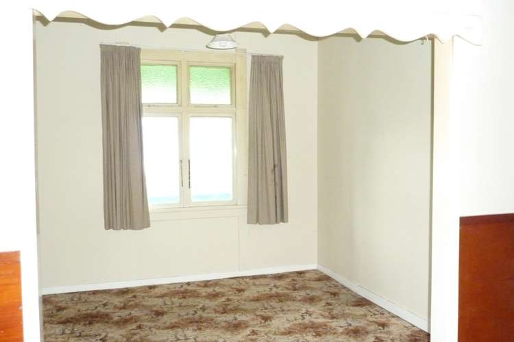 10 Greenfield Street Hector_5