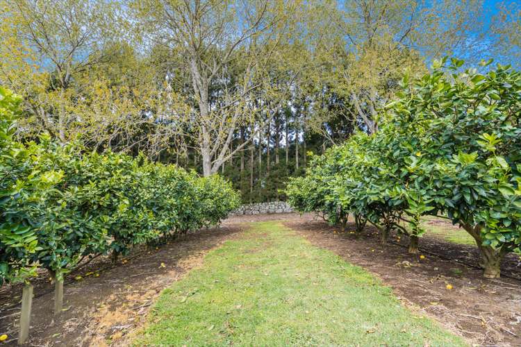 18 Cooper Road Maungatapere_25