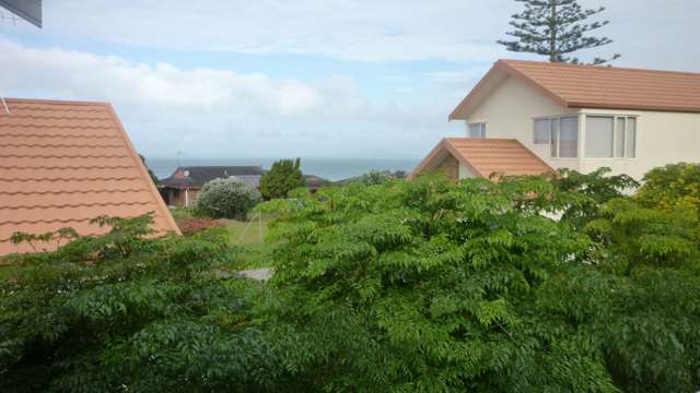 894 Whangaparaoa Road Manly_2