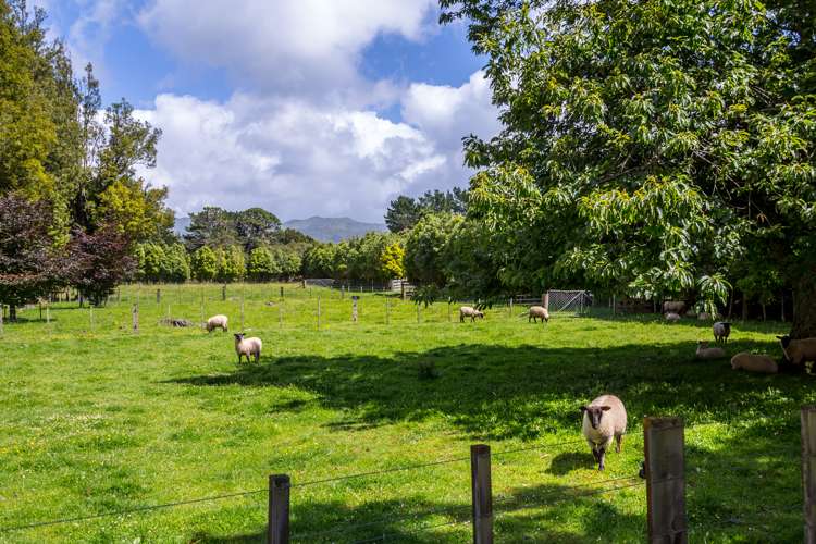 977 Kakariki Road Eketahuna_16