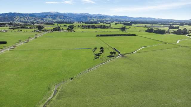 Francis Line Clareville_4