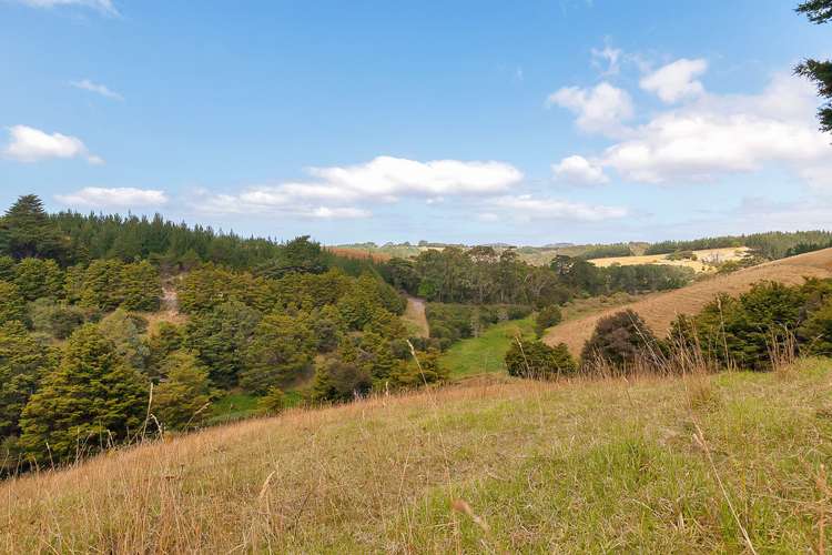 259a Taraunui Road Parua Bay_17