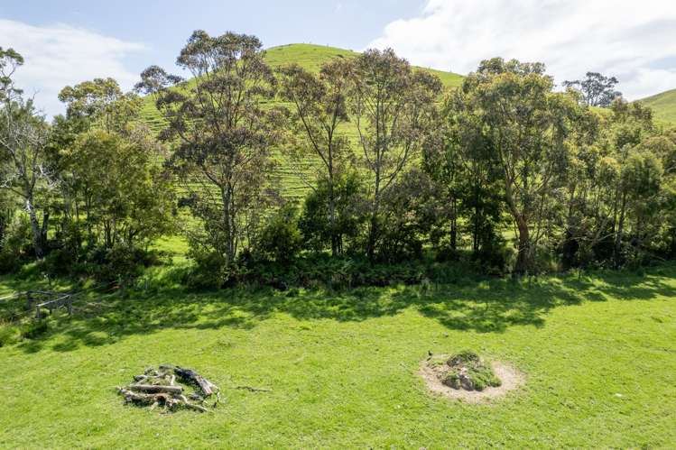Lot 1 Rockell Road Whananaki_20