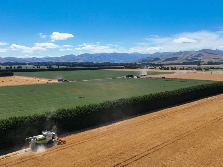 588 Freshford Plains Station Road Wendonside_15