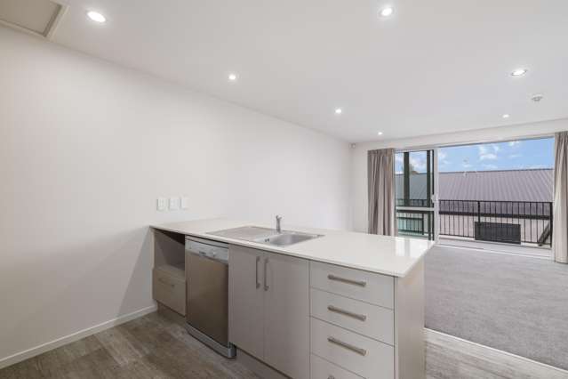1/19 Cameron Street Sydenham_3