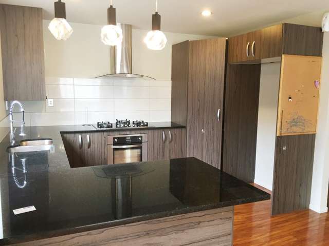 27 Sanft Avenue Mount Roskill_4