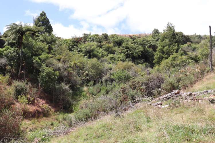 178 Wilton Collieries Road Glen Massey_20