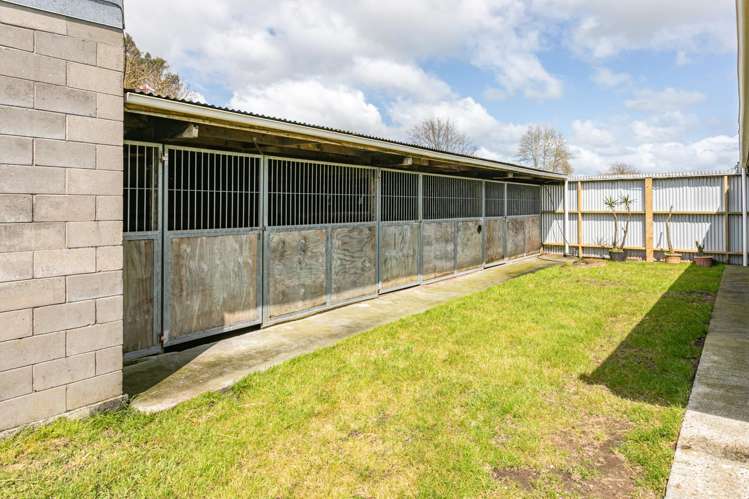 320 Hinuera Road Matamata_3