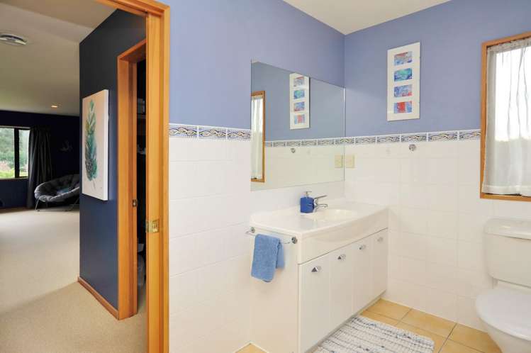 38 Peacock Place Swannanoa_16