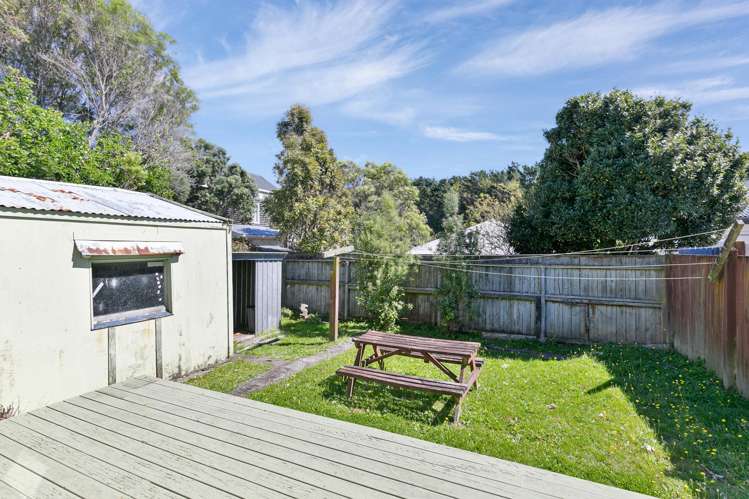 558 Adelaide Road Berhampore_13