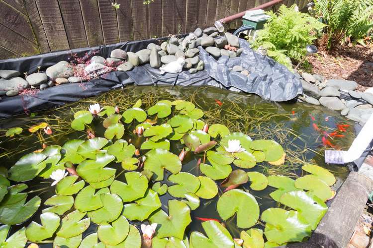 39 Fitzherbert Avenue West Harbour_11