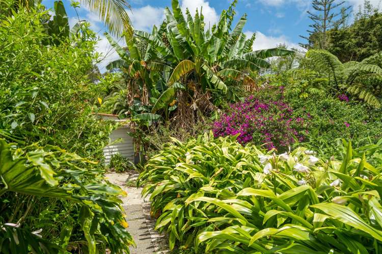 189 Waikino Road Russell Surrounds_23