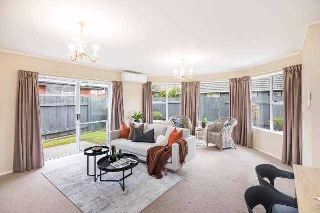 8B Elizabeth Street Palmerston North_1