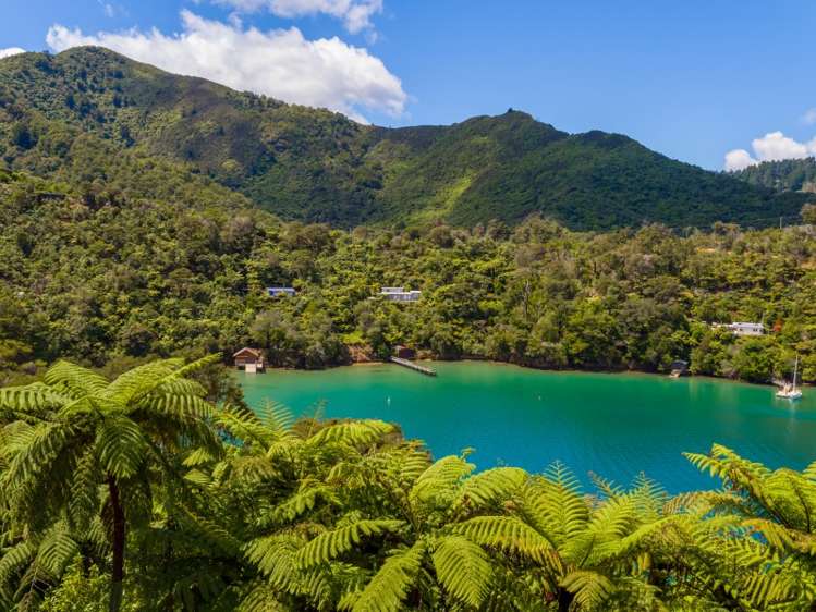 141 Onahau Road Onahau Bay_18