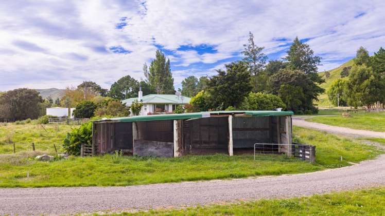 401 Herbertville Road Herbertville_17