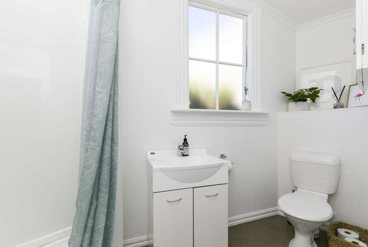 173 Aro Street Aro Valley_8