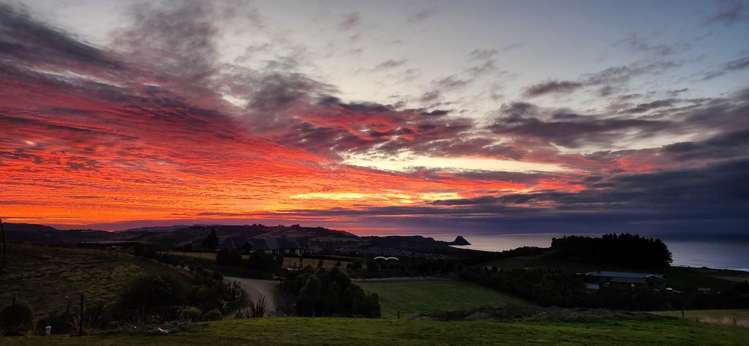 212 McMaster Road Saddle Hill_32