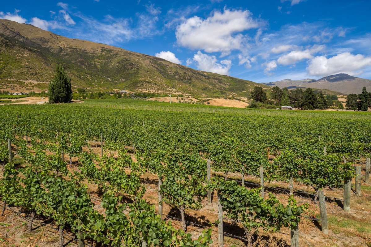 Lot Lot 2,/177 Gibbston Back Road_4