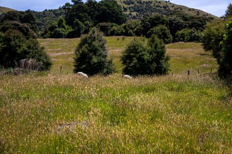 99 Jubilee Road Wainui_11