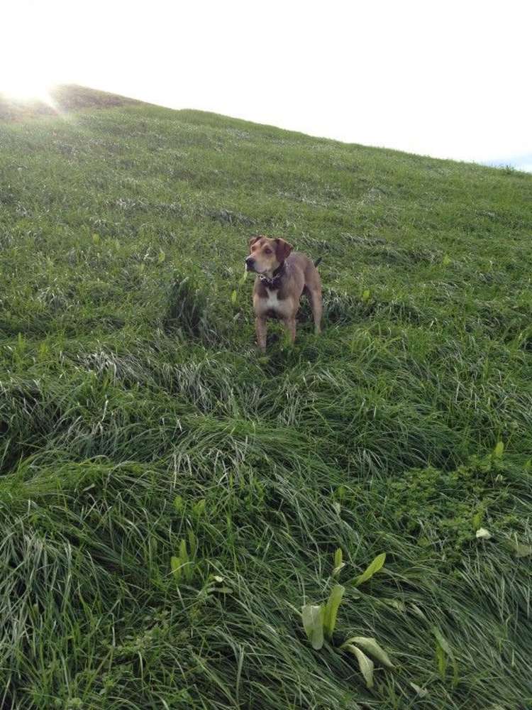 187 Baker Road Karapiro_20