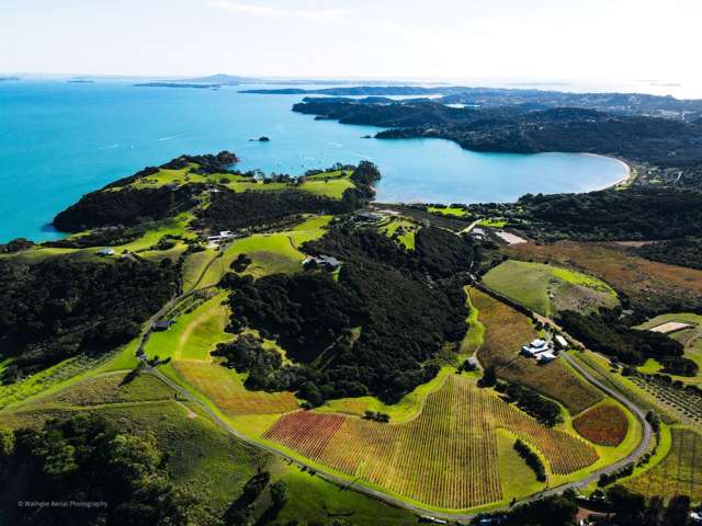 Waiheke vineyard which produces New Zealand’s ‘most expensive wine’ hits the market