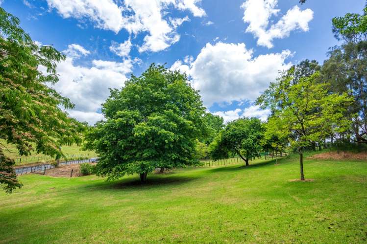 143 Te Rongo Road Parua Bay_42