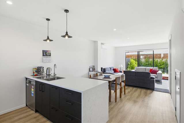 69 Pipi Place Levin_2