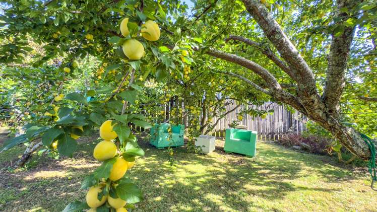 10 Andrews Street Paeroa_14