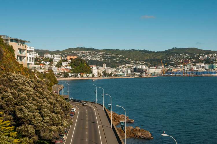 8 Carlton Gore Road Roseneath_16