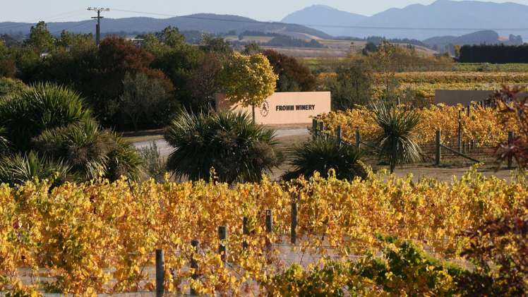 15 Godfrey Road Fairhall_7