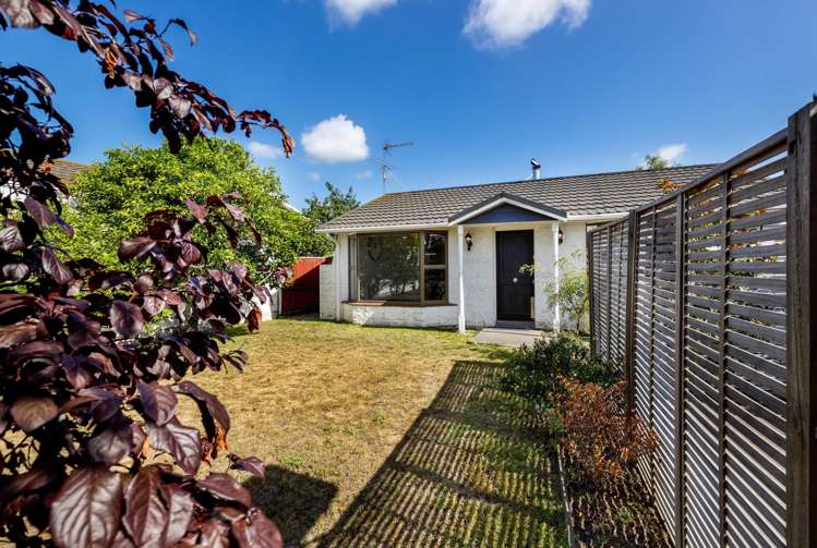 116A Maxwell Road Blenheim_17